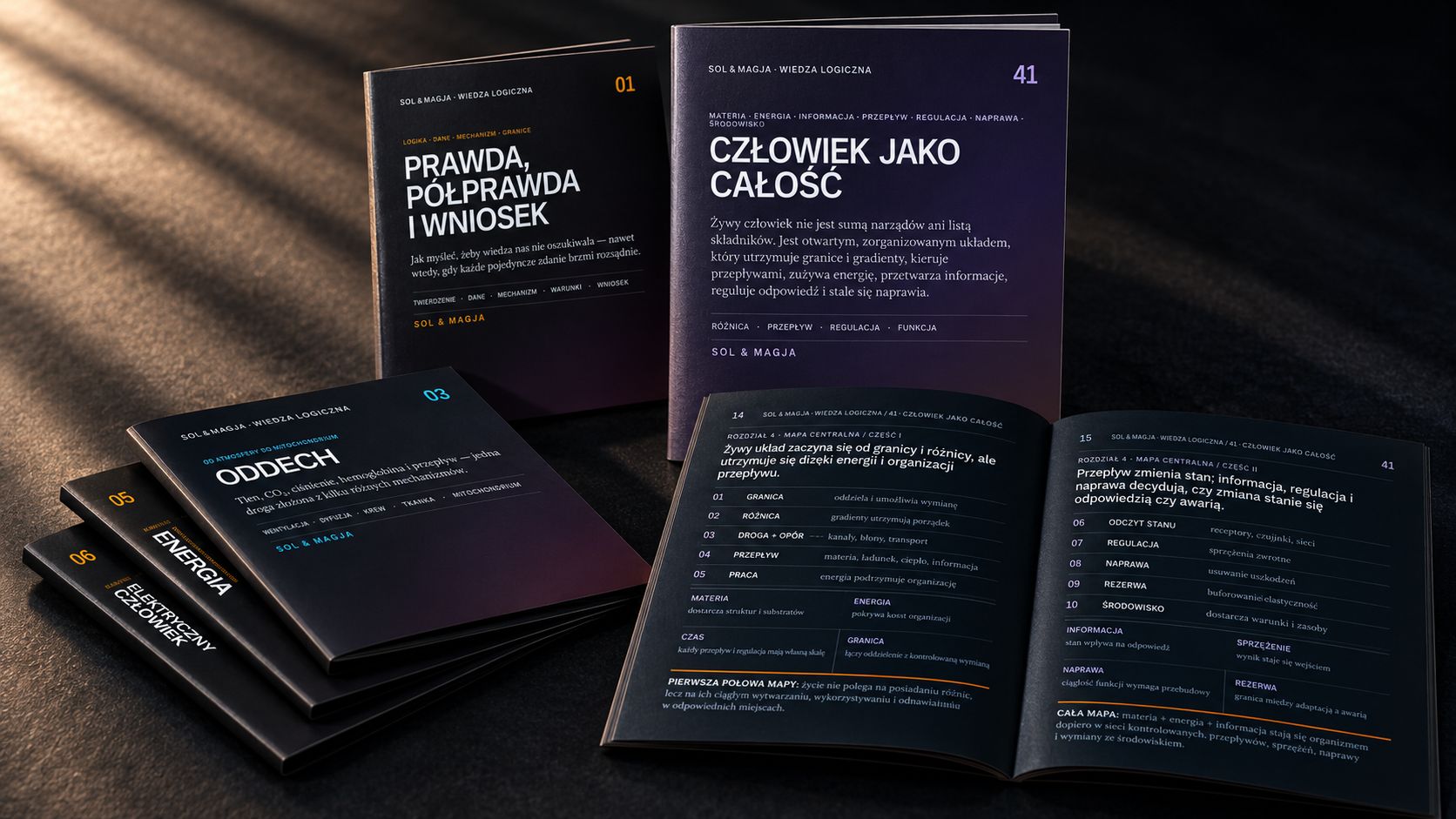 SOL & MAGJA · WIEDZA LOGICZNA
